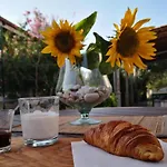 Aurora * Капо-Ватикано