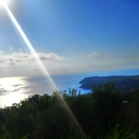 Aurora Appartement *